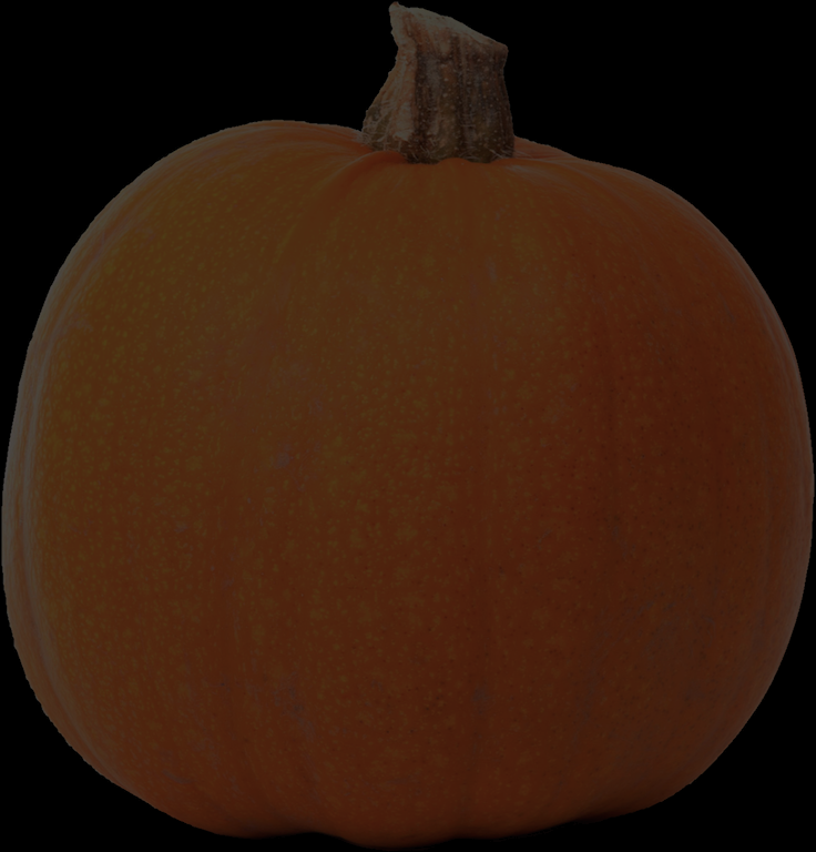 pumpkin